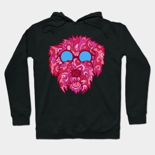 Cool Cockapoo in Pinks Hoodie